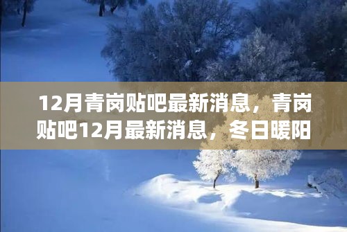 冬日暖陽下的青崗貼吧，最新消息與友情故事匯聚