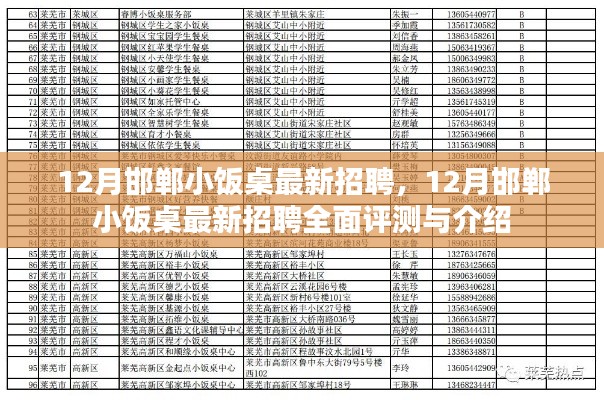 12月邯鄲小飯桌最新招聘全面解析與評(píng)測(cè)