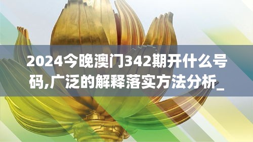2024今晚澳門342期開(kāi)什么號(hào)碼,廣泛的解釋落實(shí)方法分析_桌面版4.154