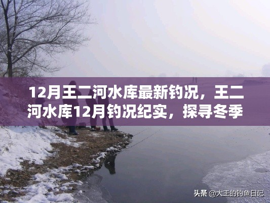 探尋冬季垂釣奧秘與魅力，王二河水庫(kù)12月釣況紀(jì)實(shí)