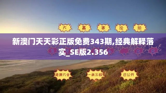 新澳門天天彩正版免費343期,經(jīng)典解釋落實_SE版2.356