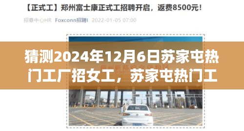 2024年蘇家屯工廠女工招聘趨勢展望，熱門工廠預(yù)測與女工需求猜測
