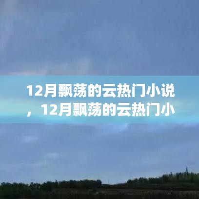全面測評與介紹，12月飄蕩的云熱門小說