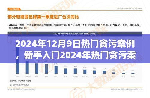 新手入門指南，深入了解貪污案例調(diào)查流程與技能學習——以2024年熱門貪污案例為例
