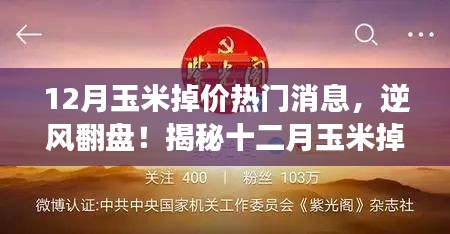 揭秘十二月玉米掉價(jià)背后的故事，逆風(fēng)翻盤(pán)，成就無(wú)限可能！