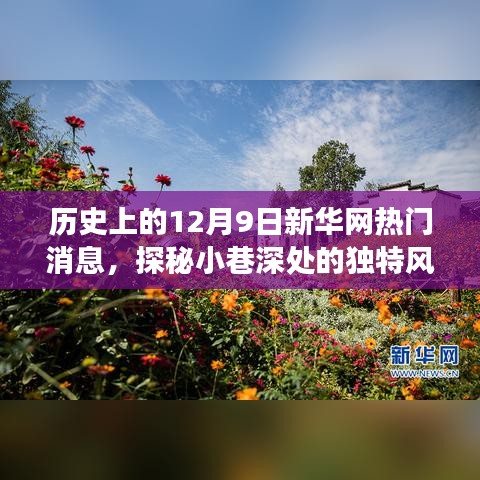 飛墻走壁 第4頁(yè)