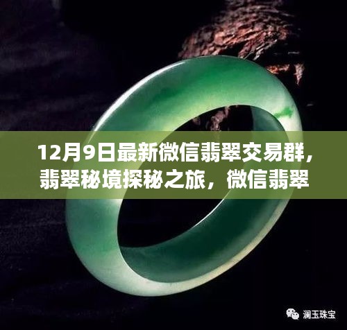 翡翠秘境探秘之旅，微信交易群新啟程與自然美景共舞