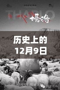 十二月九日清穿終章，探尋歷史魅力與清穿小說完結(jié)新篇章