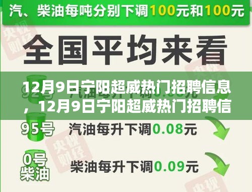 12月9日寧陽超威熱門招聘信息詳解與全面評測