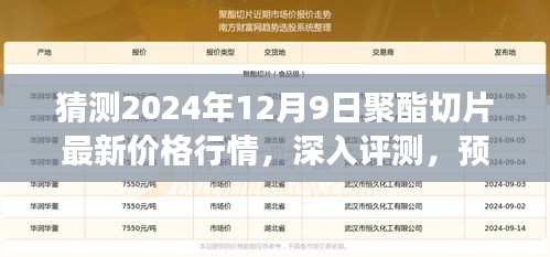 獨(dú)家解析，預(yù)測與深入評測2024年12月9日聚酯切片最新價(jià)格行情及市場洞察
