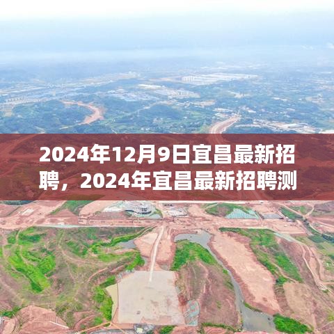 2024年12月9日宜昌最新招聘，2024年宜昌最新招聘測評報告