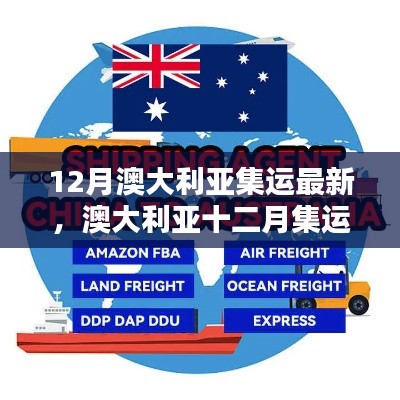 12月澳大利亞集運最新，澳大利亞十二月集運最新動態(tài)解析