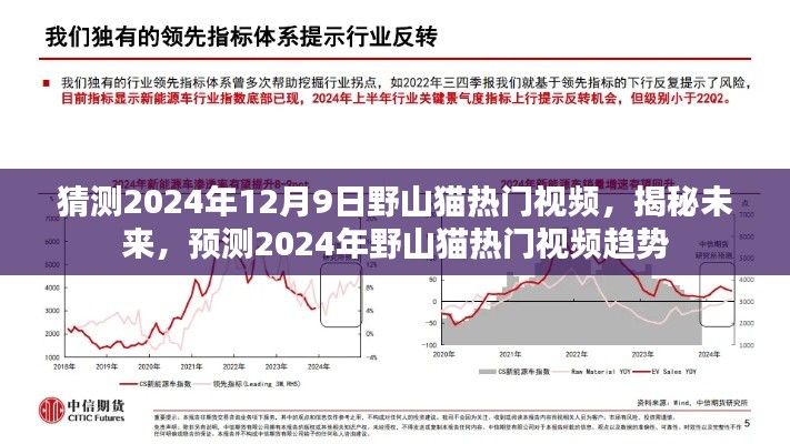 揭秘預(yù)測(cè)，野山貓熱門視頻趨勢(shì)展望至2024年12月9日