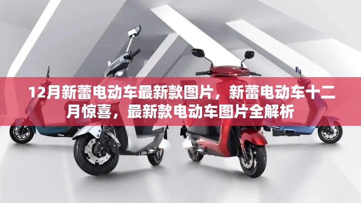 12月新蕾電動(dòng)車最新款圖片全解析，新蕾十二月驚喜，領(lǐng)略最新款電動(dòng)車風(fēng)采