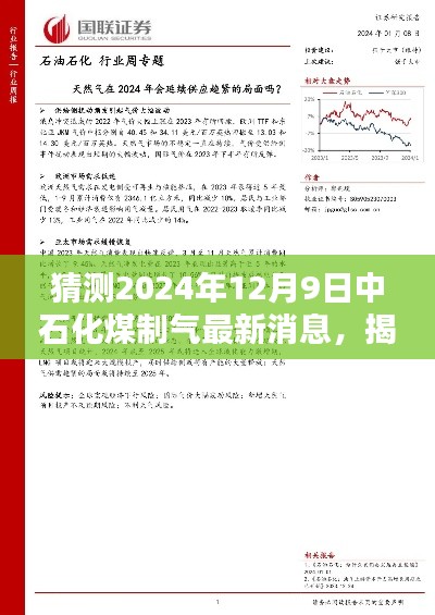揭秘未來，中石化煤制氣最新動(dòng)態(tài)與前瞻猜測(cè) —— 展望 2024 年 12 月 9 日的最新消息
