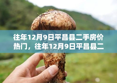 往年12月9日平昌縣二手房?jī)r(jià)解析，熱門趨勢(shì)與市場(chǎng)洞察