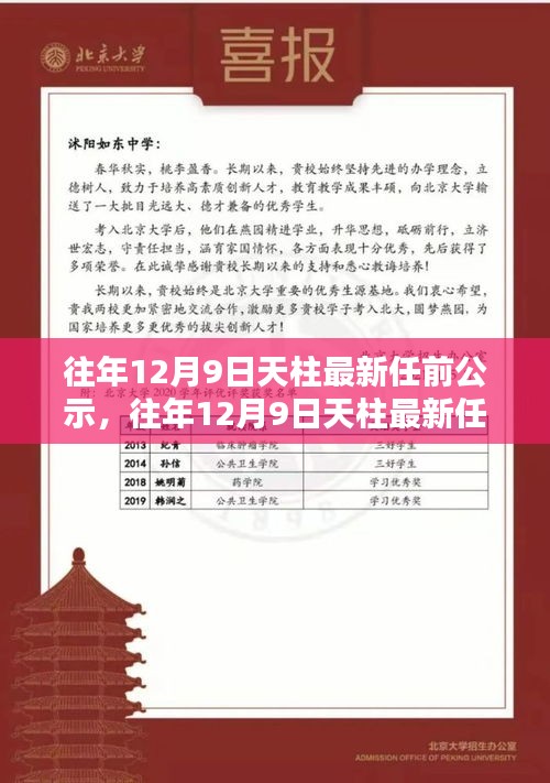天柱最新任前公示詳解，流程步步為贏，助力輕松完成公示任務(wù)