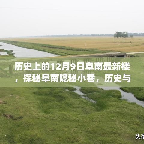 探秘阜南隱秘小巷，最新樓的歷史與美食交匯點——12月9日阜南最新樓揭秘之旅