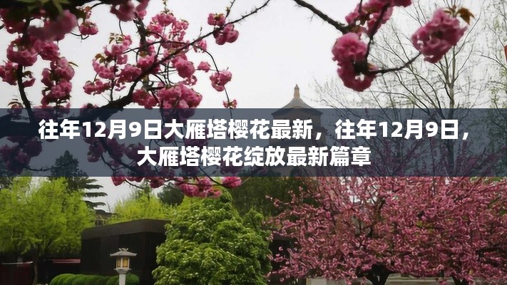 最新篇章