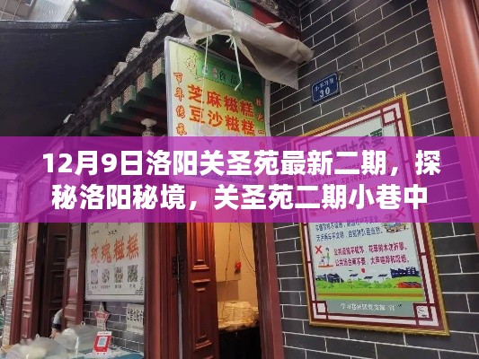 探秘洛陽關圣苑二期，小巷中的獨特風味小店
