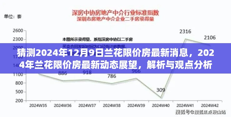 展望與解析