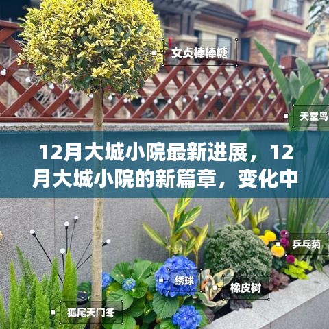 12月大城小院新進展，變化中的學習，自信與成就感的綻放