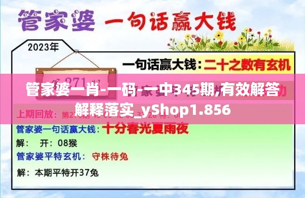 管家婆一肖-一碼-一中345期,有效解答解釋落實_yShop1.856