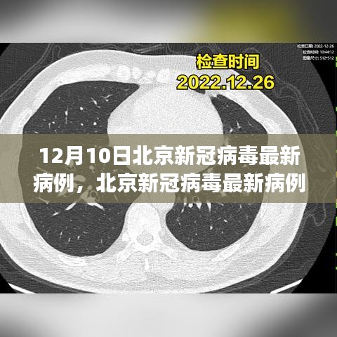 北京新冠病毒最新病例分析報告，深度解讀（截至12月10日）