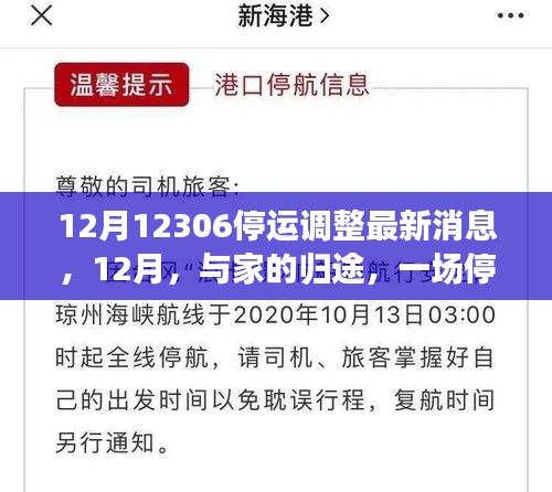 12月停運(yùn)調(diào)整心系歸途，12306最新消息與溫情之旅向家出發(fā)