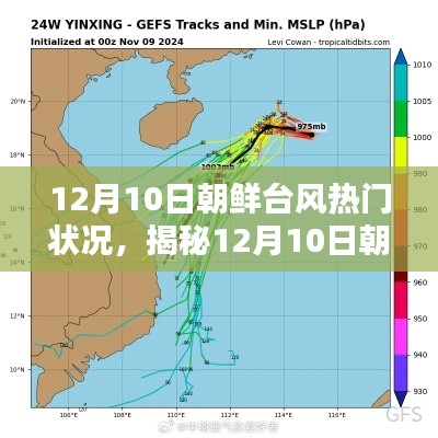 揭秘，12月10日朝鮮臺(tái)風(fēng)熱門(mén)狀況深度解析與三大要點(diǎn)探討