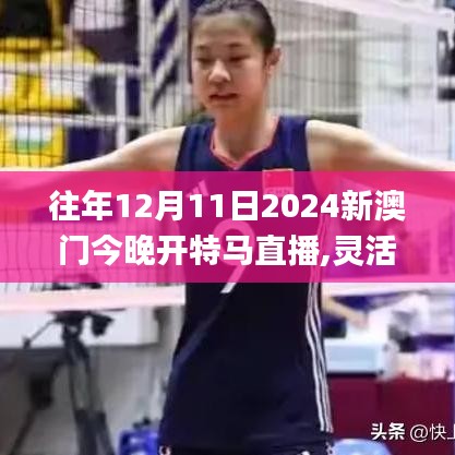 往年12月11日2024新澳門今晚開特馬直播,靈活實施計劃_手游版110.728