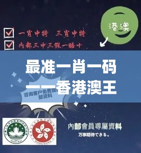 最準一肖一碼一一香港澳王一王,數(shù)據(jù)資料解釋定義_高級款9.295