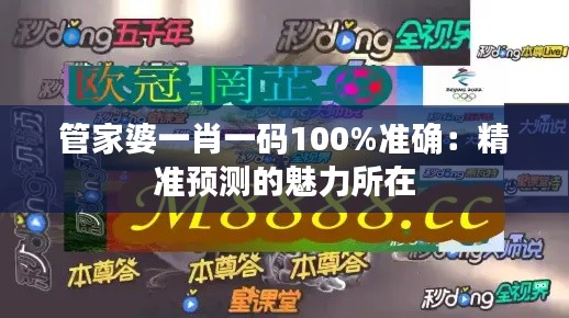 管家婆一肖一碼100%準(zhǔn)確：精準(zhǔn)預(yù)測(cè)的魅力所在