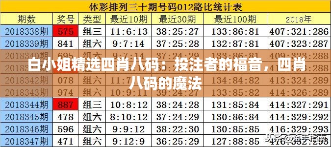 白小姐精選四肖八碼：投注者的福音，四肖八碼的魔法
