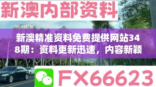 新澳精準(zhǔn)資料免費(fèi)提供網(wǎng)站348期：資料更新迅速，內(nèi)容新穎