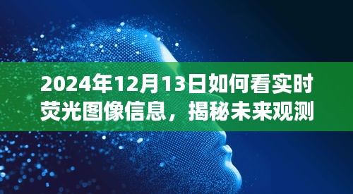 揭秘未來觀測，深度解讀實(shí)時熒光圖像信息，預(yù)見未來視界（2024年實(shí)時熒光圖像指南）