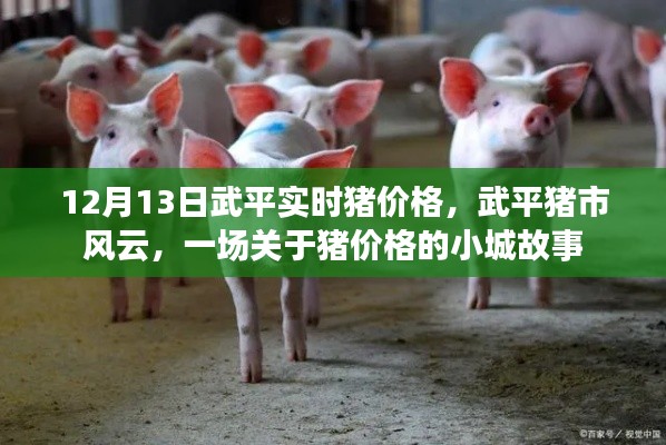 武平豬市風云，小城故事中的實時豬價格揭秘