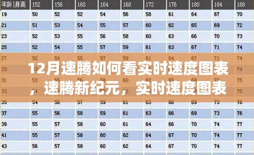 速騰新紀元，實時速度圖表科技重塑駕駛體驗解析