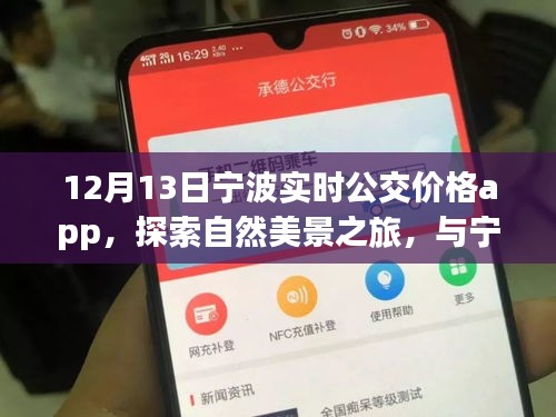 寧波實時公交價格app，探索自然美景與內(nèi)心寧靜之旅