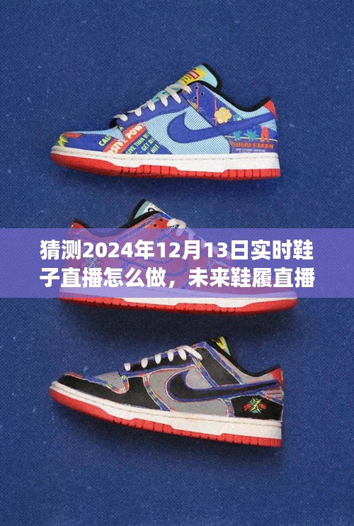 揭秘未來(lái)鞋履直播趨勢(shì)，打造成功的直播策略于2024年12月13日