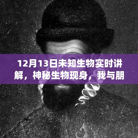 未知生物揭秘，神秘現(xiàn)身與溫馨探險之旅