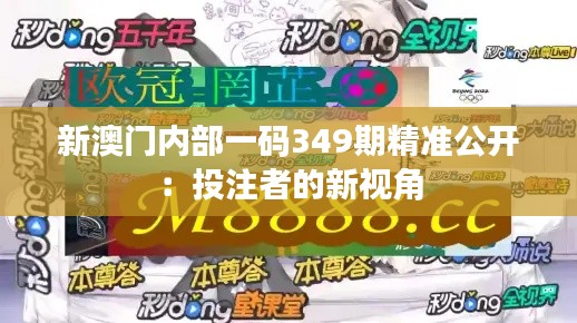 新澳門內(nèi)部一碼349期精準(zhǔn)公開：投注者的新視角