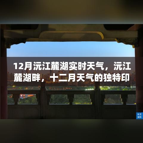 鶴立雞群 第4頁