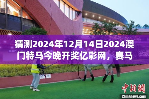 猜測2024年12月14日2024澳門特馬今晚開獎億彩網(wǎng)，賽馬概率游戲的冒險之旅