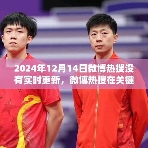 2024年12月14日微博熱搜缺失實時更新，深入評測分析