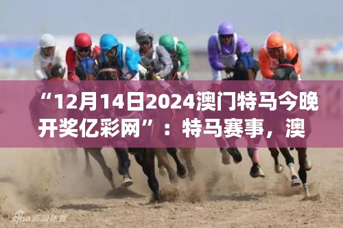 “12月14日2024澳門特馬今晚開獎億彩網(wǎng)”：特馬賽事，澳門的驕傲