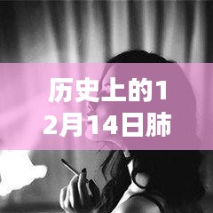 歷史上的十二月十四日，肺炎動態(tài)壁紙與動漫壁紙店的探秘之旅