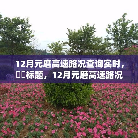 12月元磨高速路況實時更新，與自然美景共舞的心靈寧靜之旅。