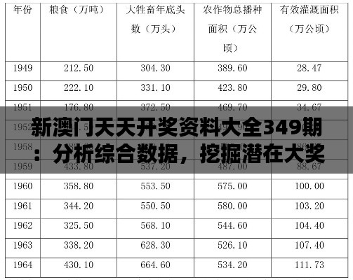 新澳門(mén)天天開(kāi)獎(jiǎng)資料大全349期：分析綜合數(shù)據(jù)，挖掘潛在大獎(jiǎng)