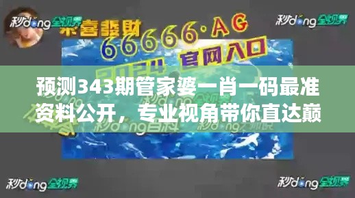 預(yù)測343期管家婆一肖一碼最準(zhǔn)資料公開，專業(yè)視角帶你直達(dá)巔峰
